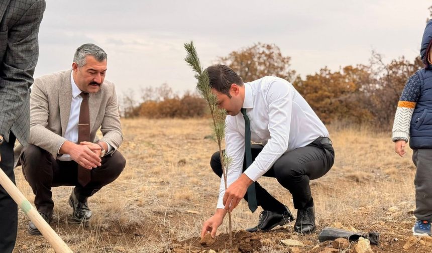 Çiçekdağı’nda ‘Yeşil Vatan’ için fidanlar toprakla buluştu