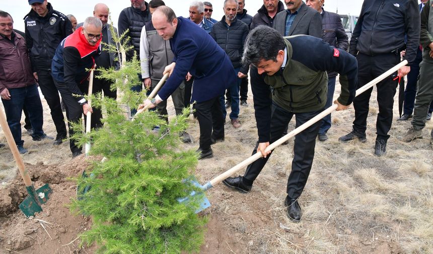 ‘Kırşehir’e Nefes Veriyor’ Projesi Boztepe’de hayat buldu