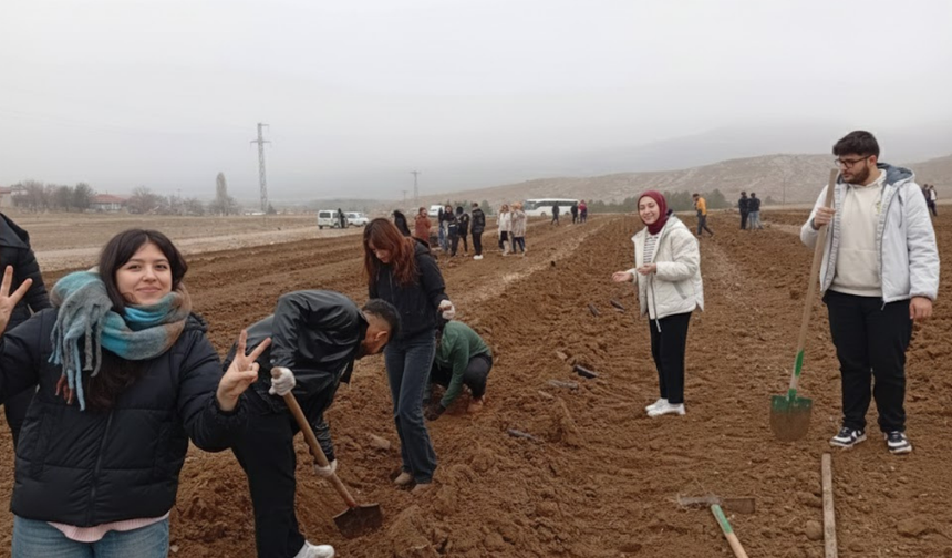 O köyde çam dikimi çalışması yapıldı