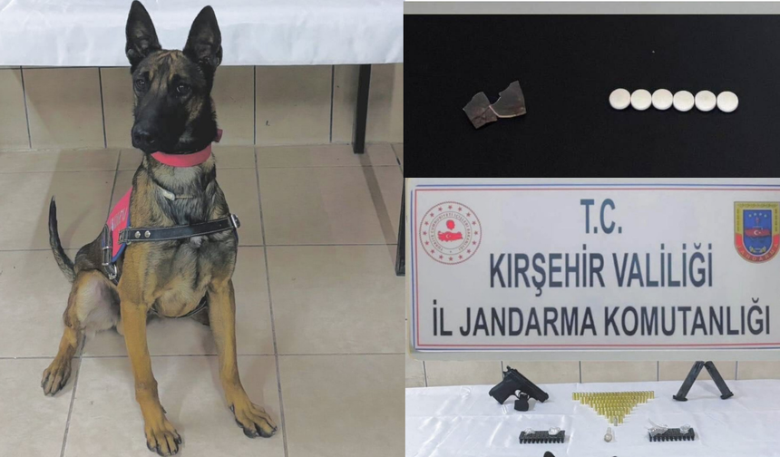 Jandarmanın takibi sonuç verdi