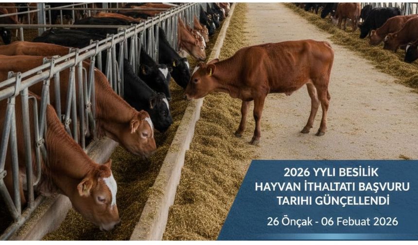 2026 yılı ithalat takviminde tarihler belli oldu