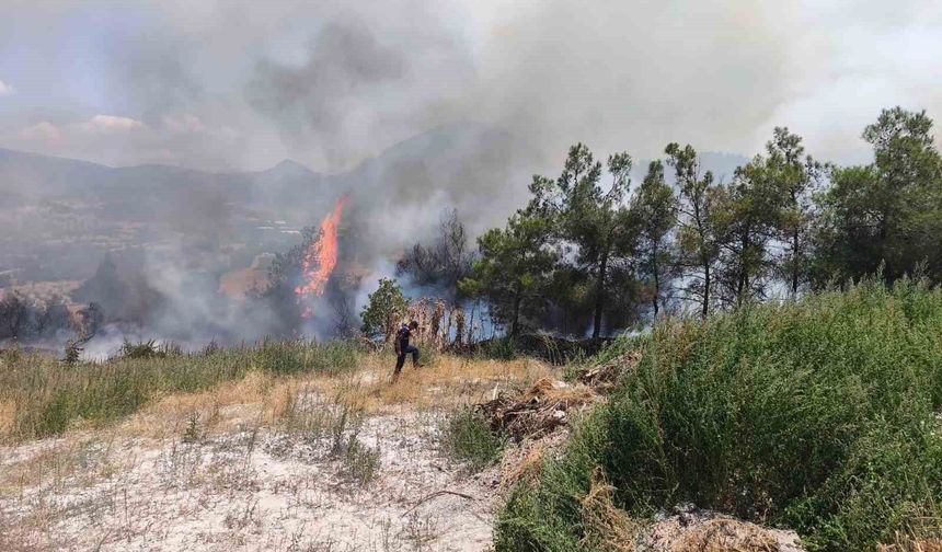Alevler Ormana Sıçradı: Elektrik Direği Yangın Çıkardı