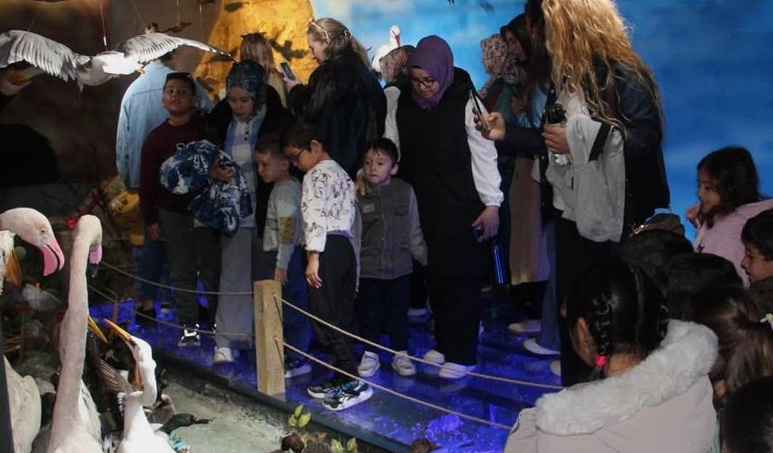 Kırşehir’de minik kaşifler tabiat müzesinde yaban hayatını keşfetti