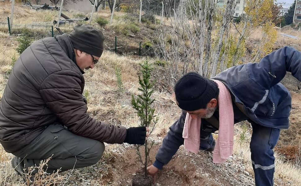 Kırşehir’de 500 fidan toprakla buluştu