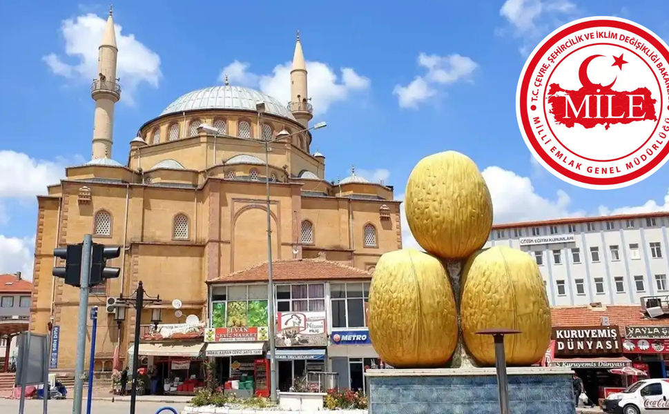 O Köyün Konağı İhaleye Çıkıyor!