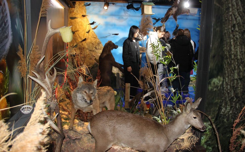 Kırşehir’de Öğrencilere Doğa ve Biyoçeşitlilik Eğitimi