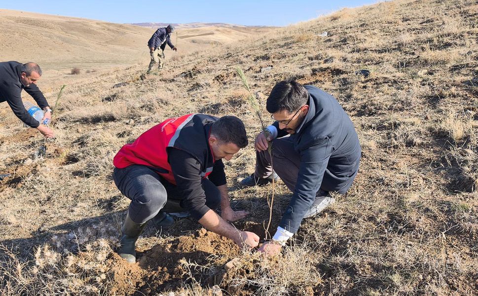 Akçakent’te yeni bir nefes: Köy arazisi fidanlarla buluştu