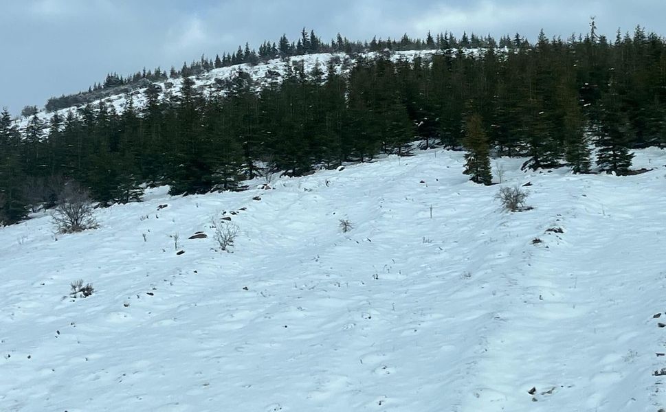 Kervansaray Dağları'nda kar görüntüsü büyülüyor