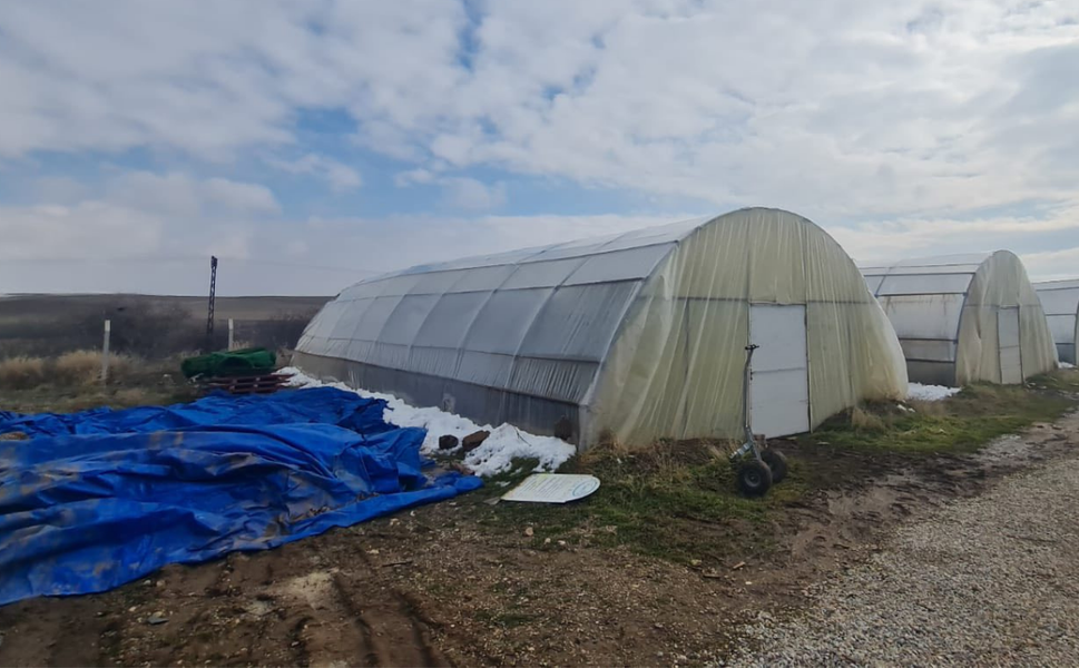 Kırşehir’de Seracılık Çalışmaları Ankara Büyükşehir’e Örnek Oldu