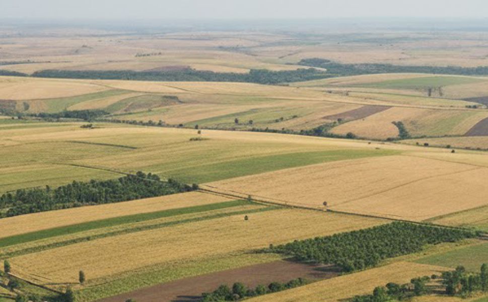 Mucur’da hazine taşınmazları satışa çıkıyor