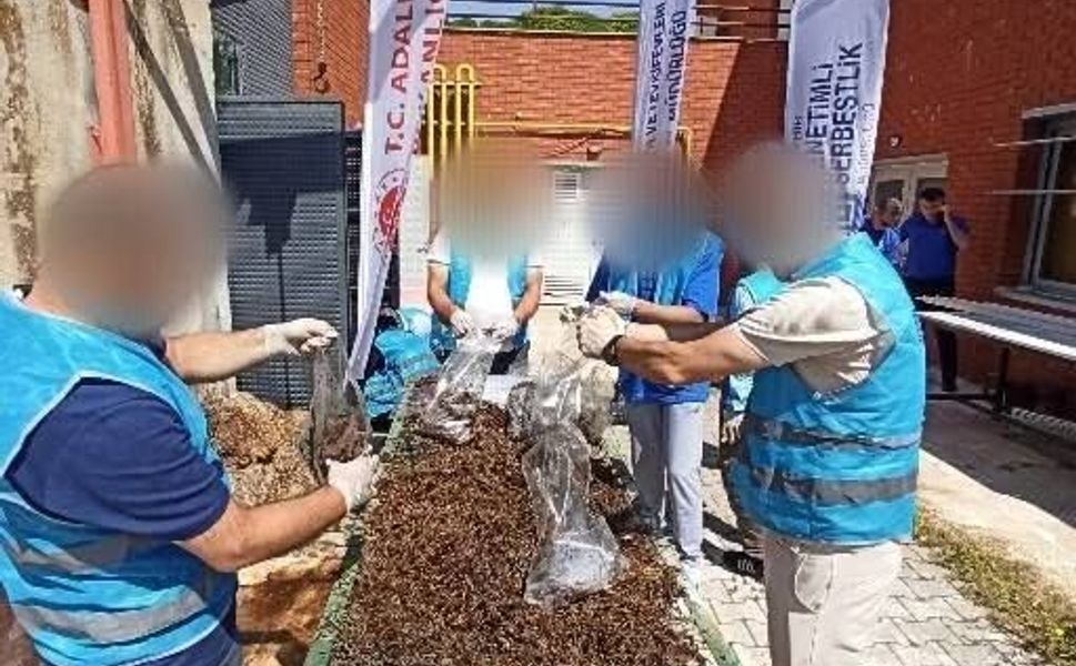 Kırşehir'de Dikkat Çeken Proje!