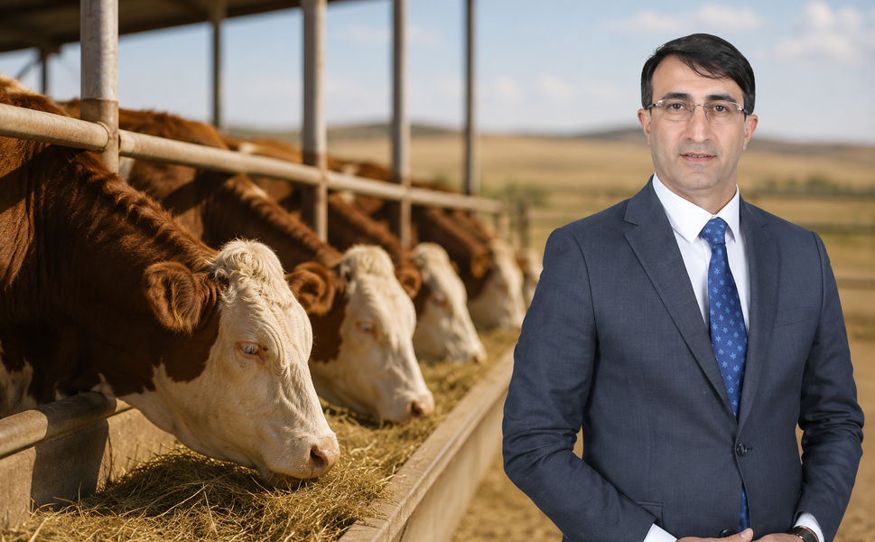 Kırşehir'de Buzağı Destekleme Askı Listeleri Yayımlandı