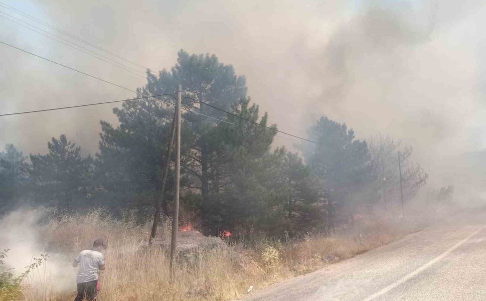 Kaman’da peş peşe 3 yangın: Bin dönümden fazla tarım arazisi zarar gördü