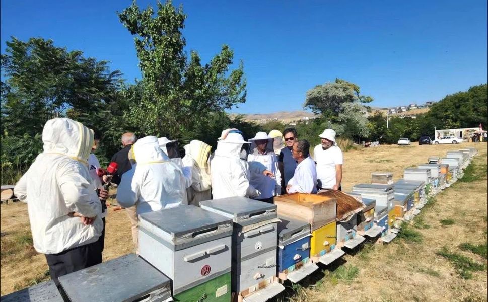 Kırşehir’de Bal Hasadı Başladı: Arıcılar Sezonun İlk Ürünlerini Topluyor