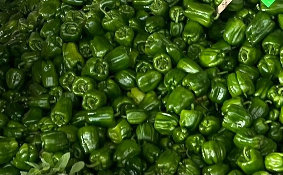 Kırşehir’de tezgahlar hareketlendi: Kilosu 80 TL’ye kadar düştü
