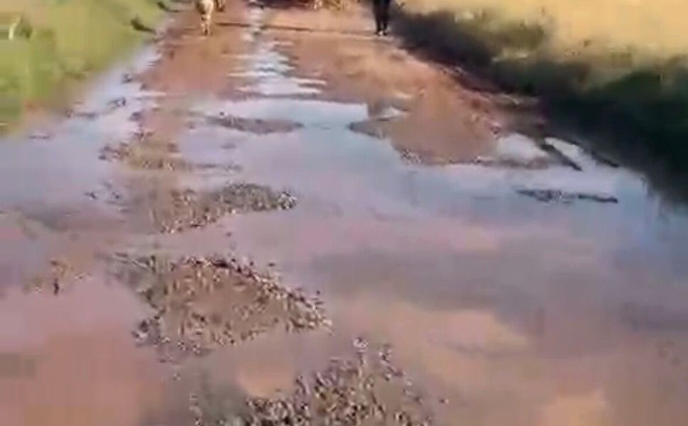 Kırşehir’de Bir sulama ihmali, yolu çamur deryasına çevirdi!