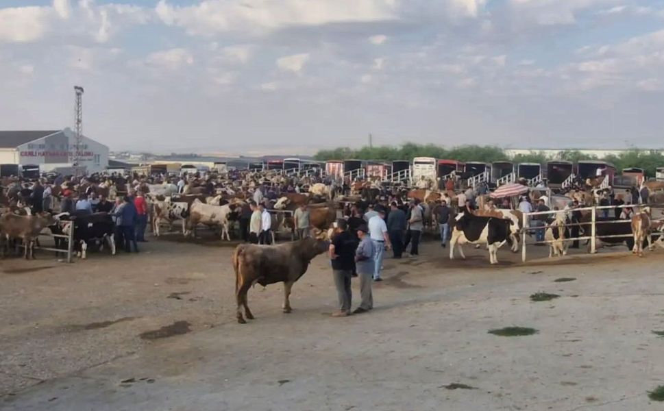 Kırşehir Ticaret Borsası'nda pazar hareketliliği devam ediyor