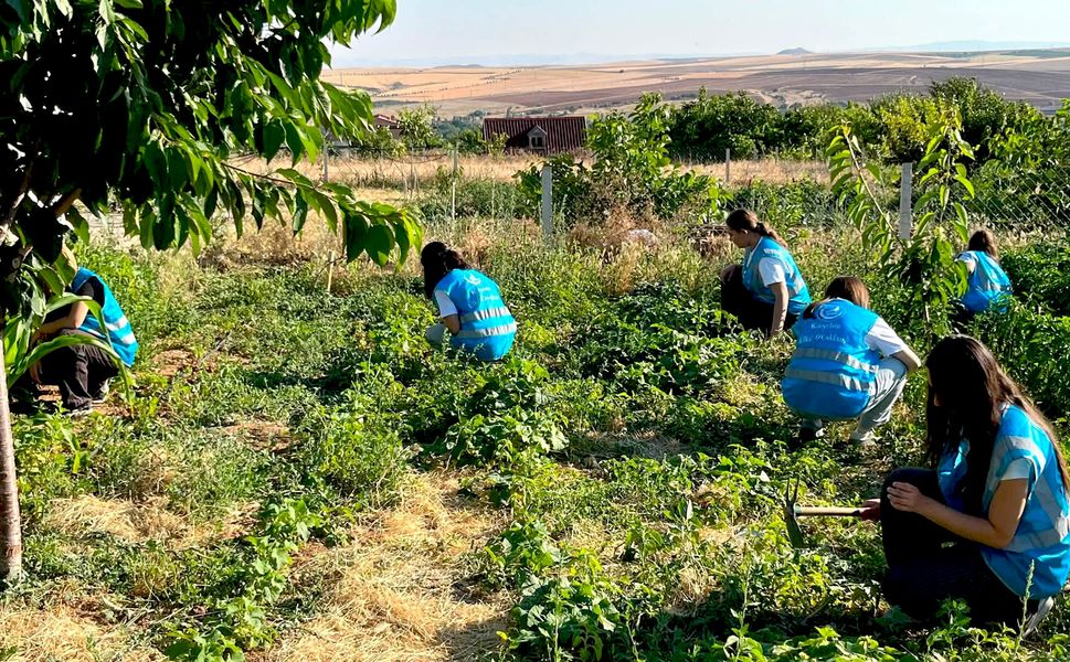 Kırşehir Ülkü Ocakları’nda Permakültür Projesi'nde hasat heyecanı