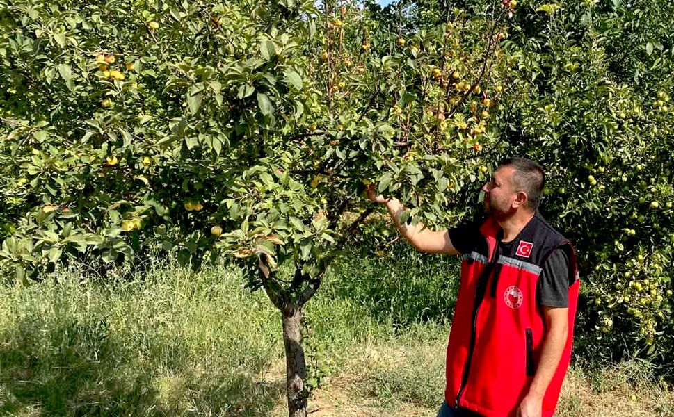 Kırşehir’de tarımsal üretimde denetimler sıklaştırıldı