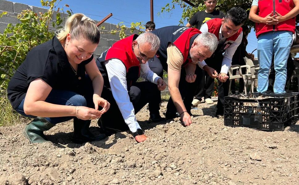 Kırşehir'de Kadın Çiftçiler Mor Altın Ekmeye Başladı