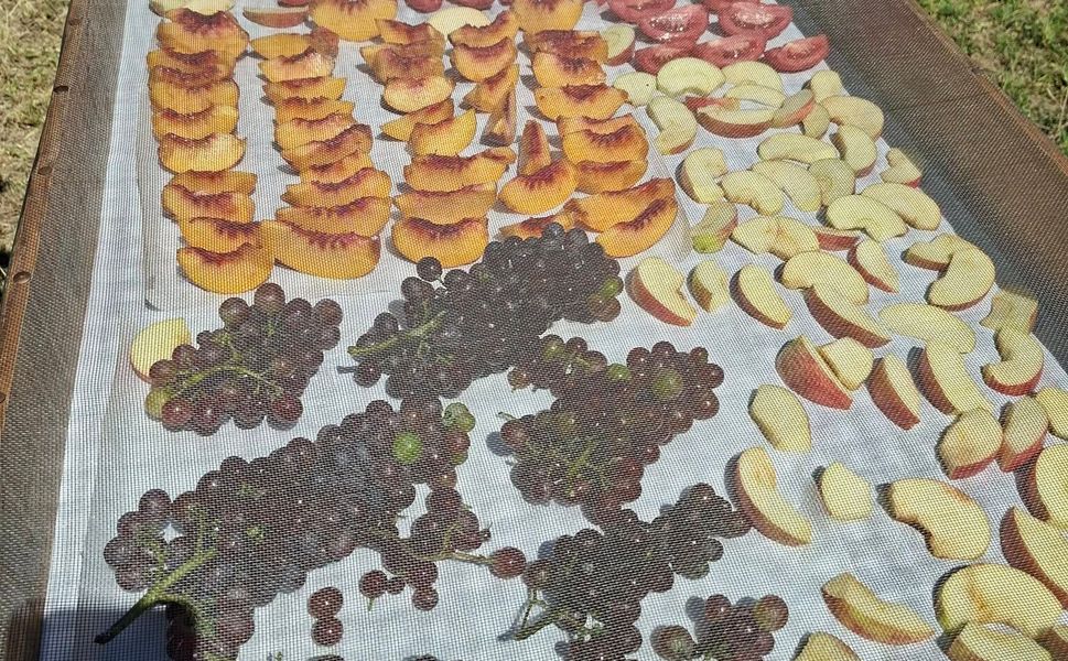 Güneşte kurutma sezonu devam ediyor