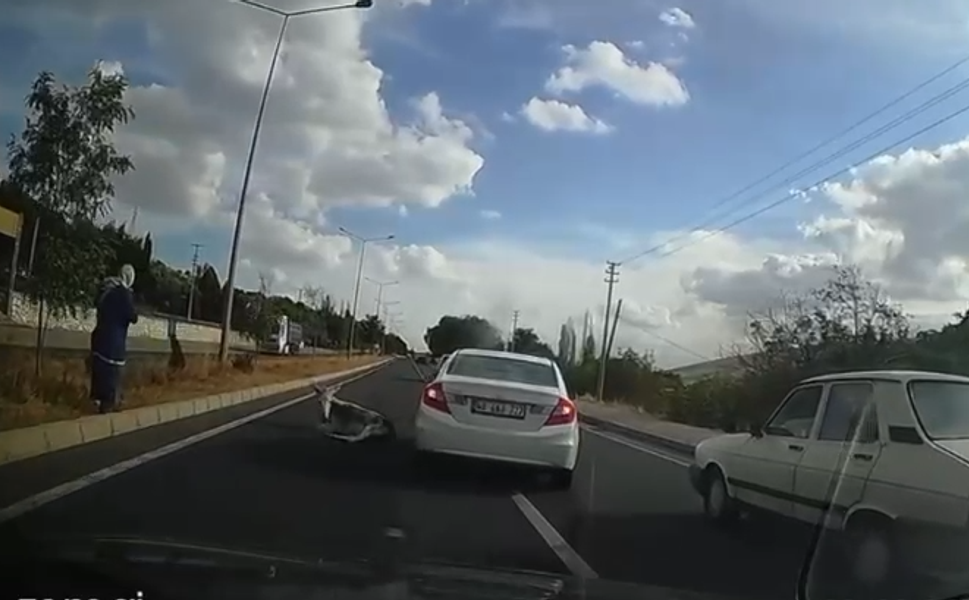 Yol ortasında yaralı eşek böyle görüntülendi