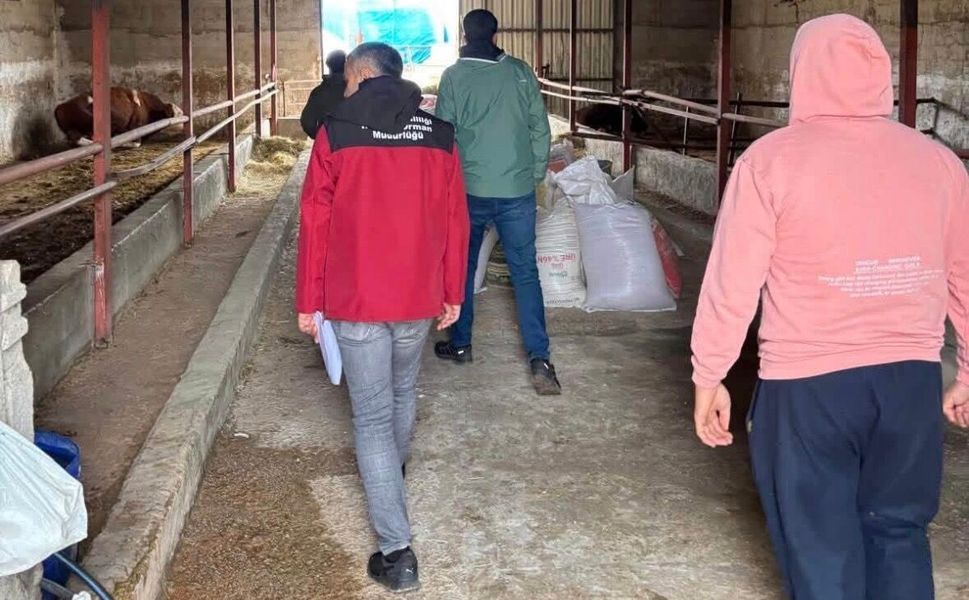 Mucur’da Hayvan İşletmelerinde Kapasite Kontrolleri Gerçekleştirildi