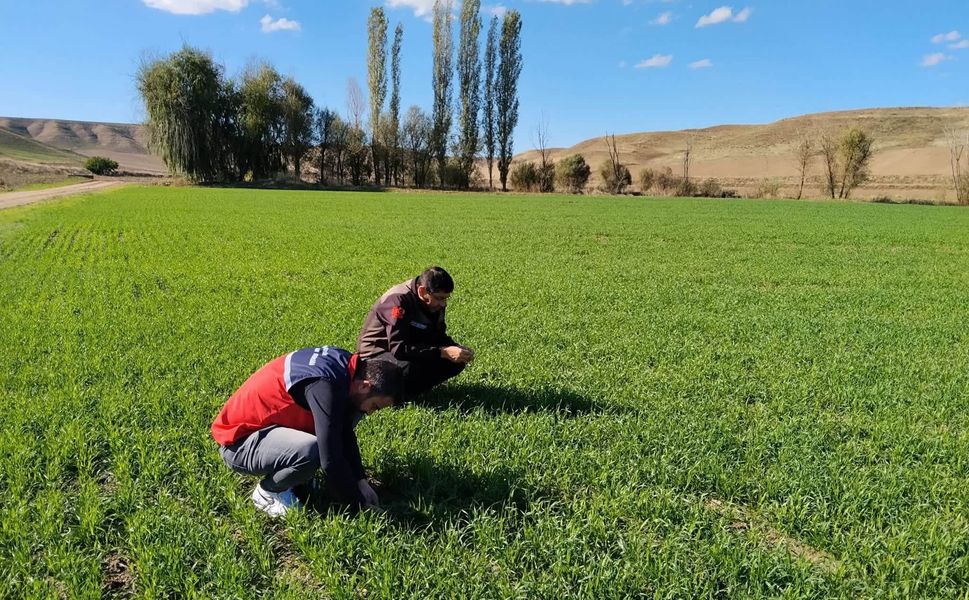 Ekipler sahada kuş uçurtmuyor