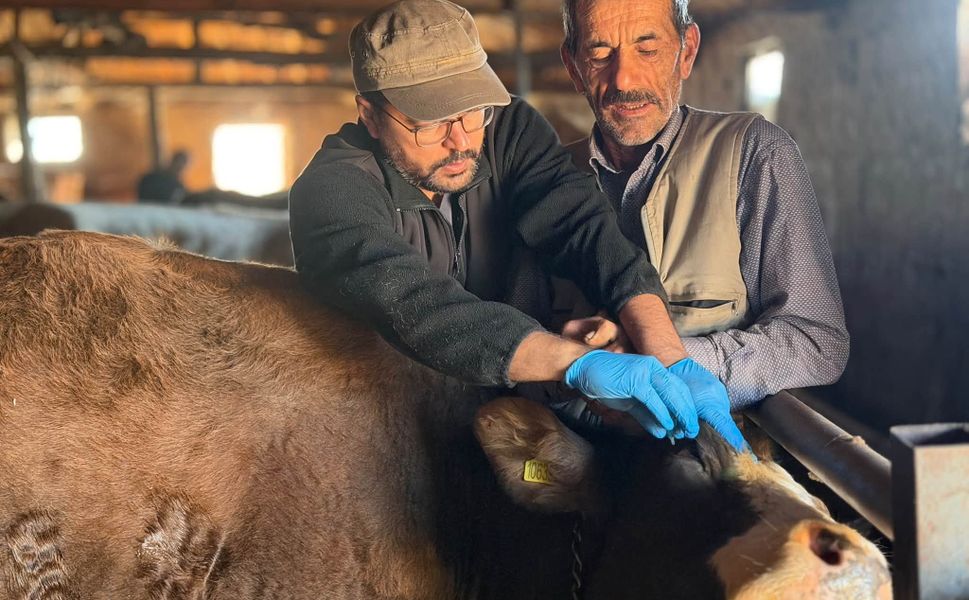 Yetiştiriciler için sıkı takip