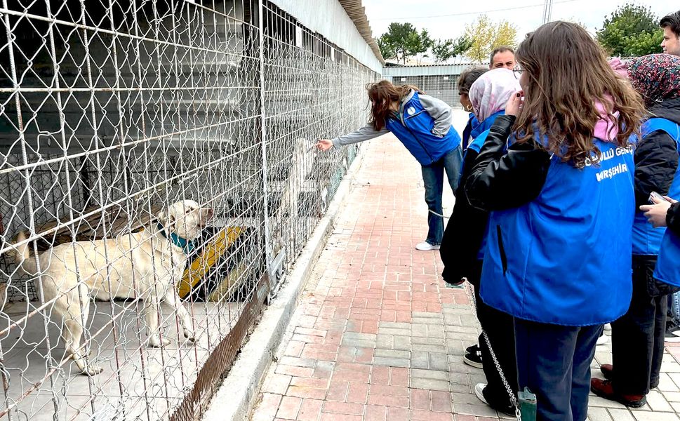 Gençler, barınaktaki can dostlarını yalnız bırakmadı