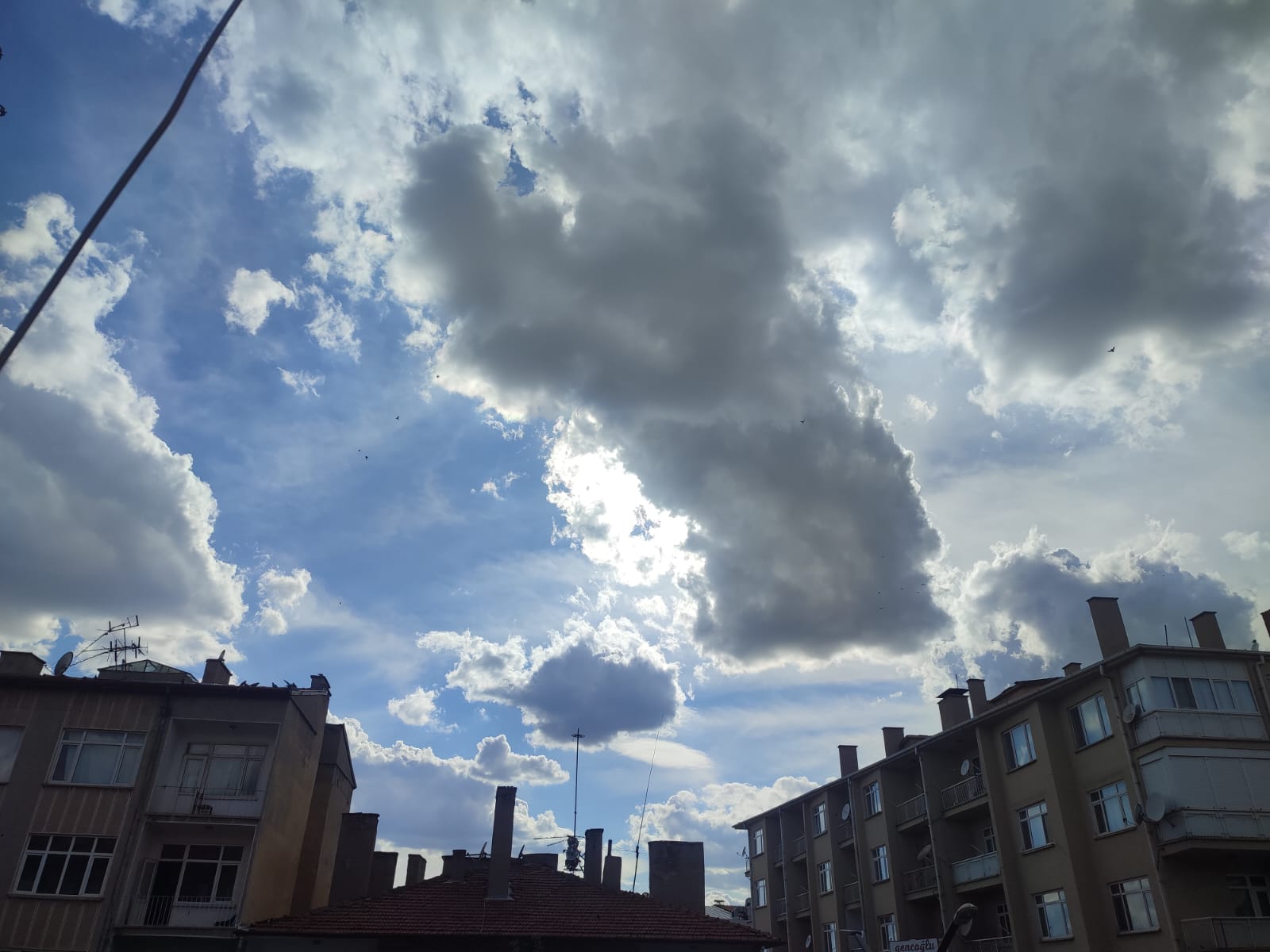 Hava