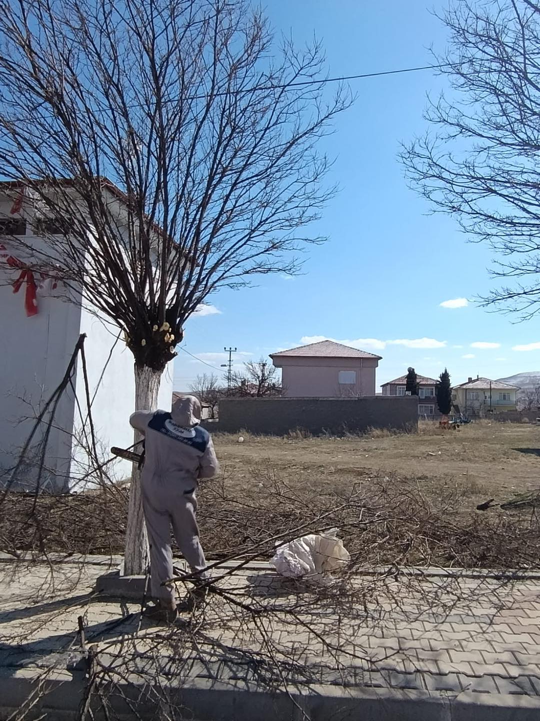 Çiçekdağı’nda Yeşil Dönüşüm! Ekipler Sahada