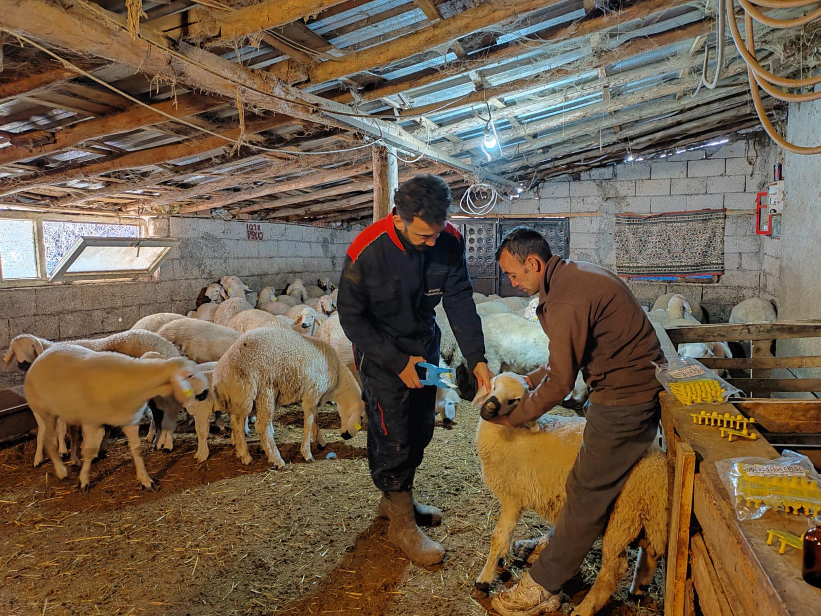 Doğru Bilgi Ile Doğru Üretim Için Sahadalar