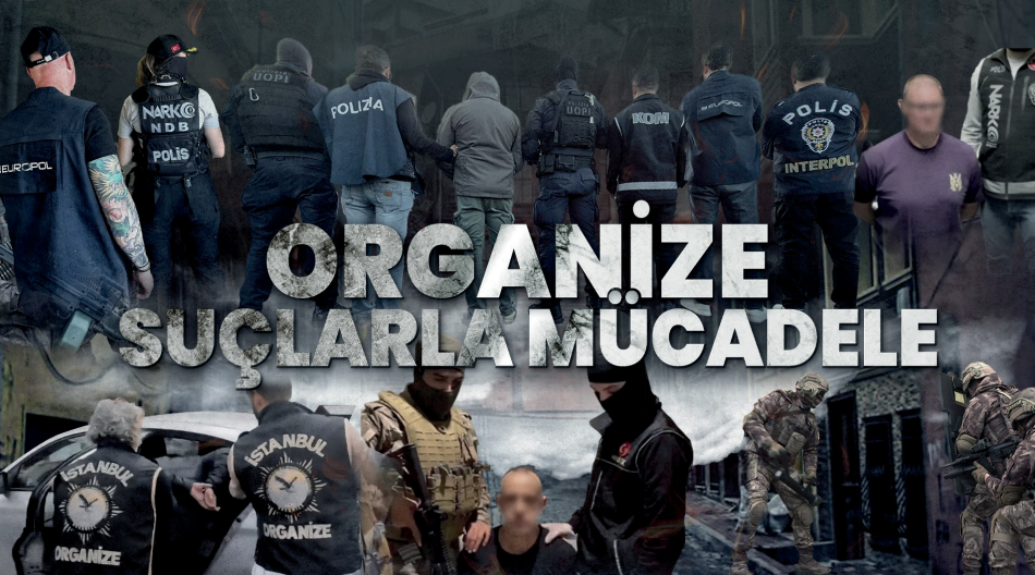 Organize