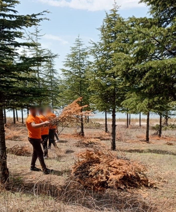 Kırşehir’de Hükümlüler Toplumsal Fayda Için Çalışıyor23
