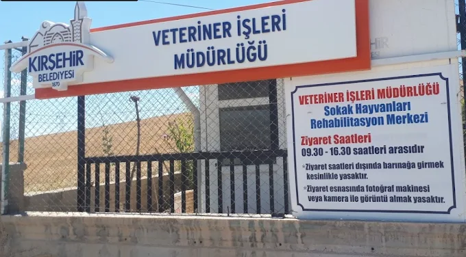 Barınak