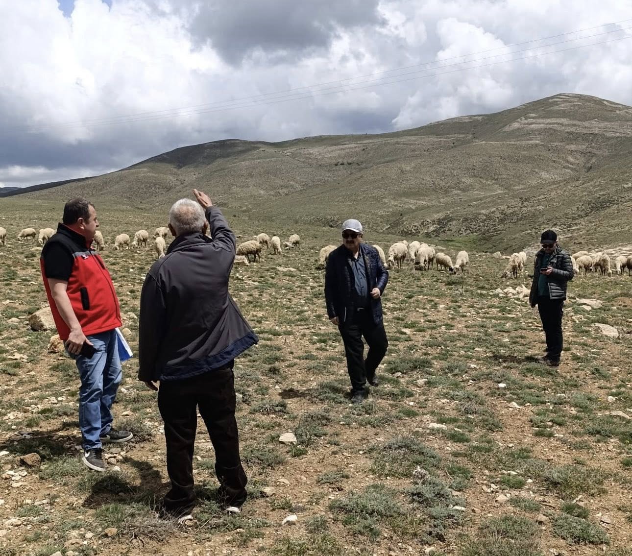 Kırşehir Meralarında Sessiz Dönüşüm 2