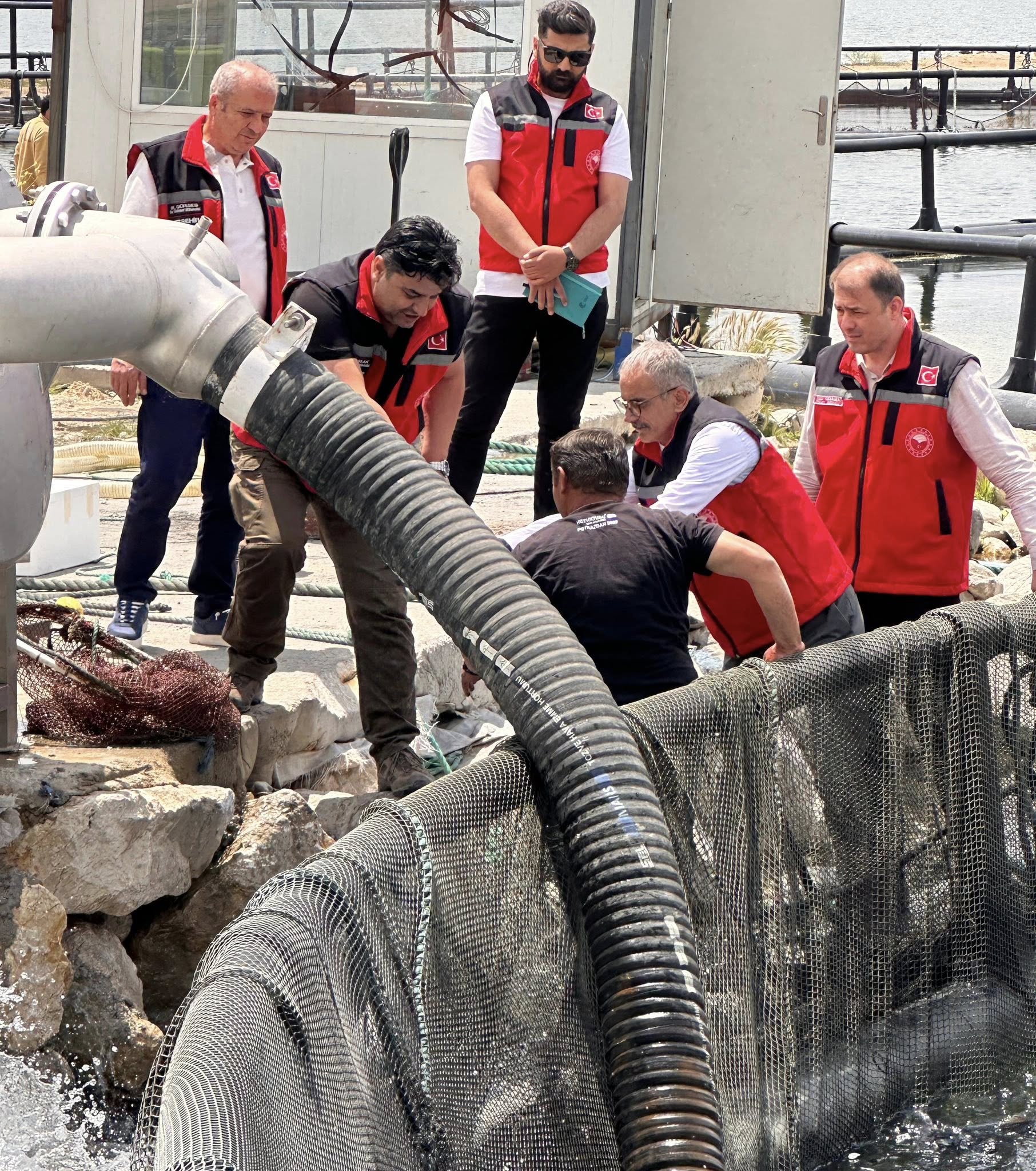 Kırşehir Somonu Uluslararası Pazarda 3