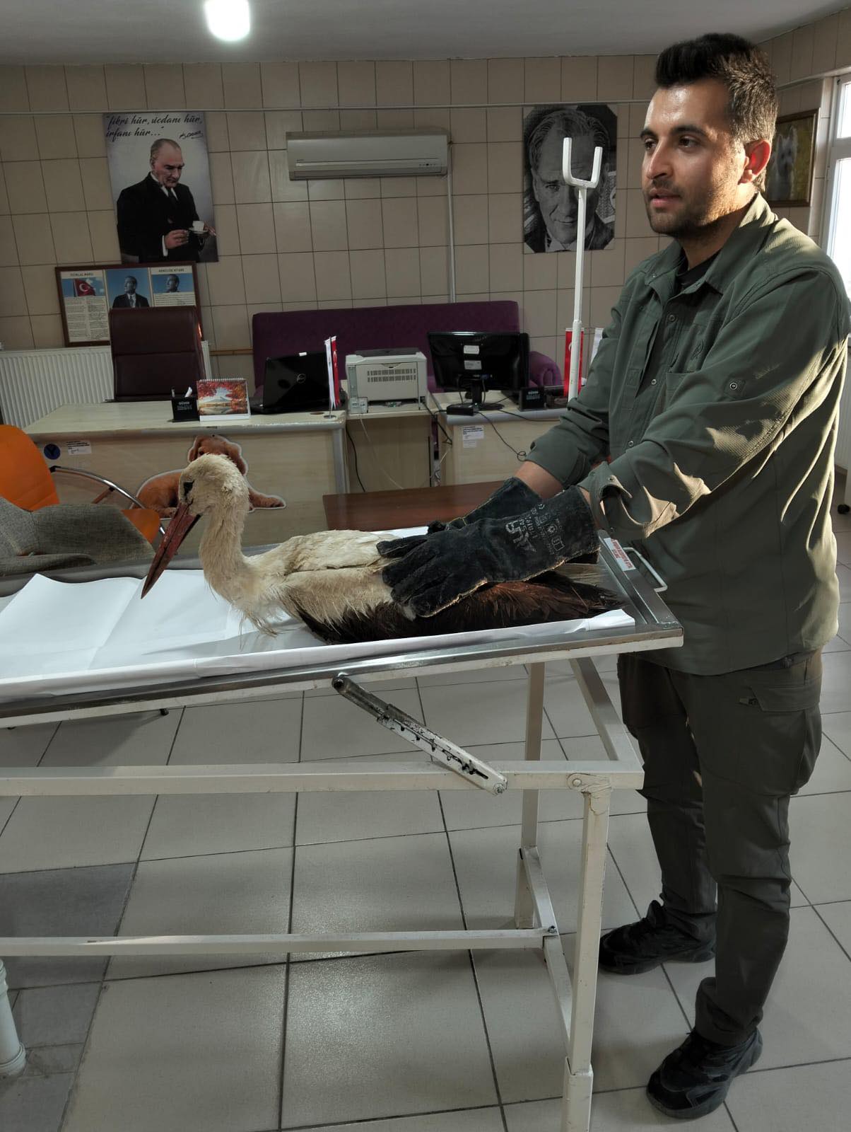 Kırşehir’de Duyarlılık Can Kurtardı, Bitkin Leylek Koruma Altında3