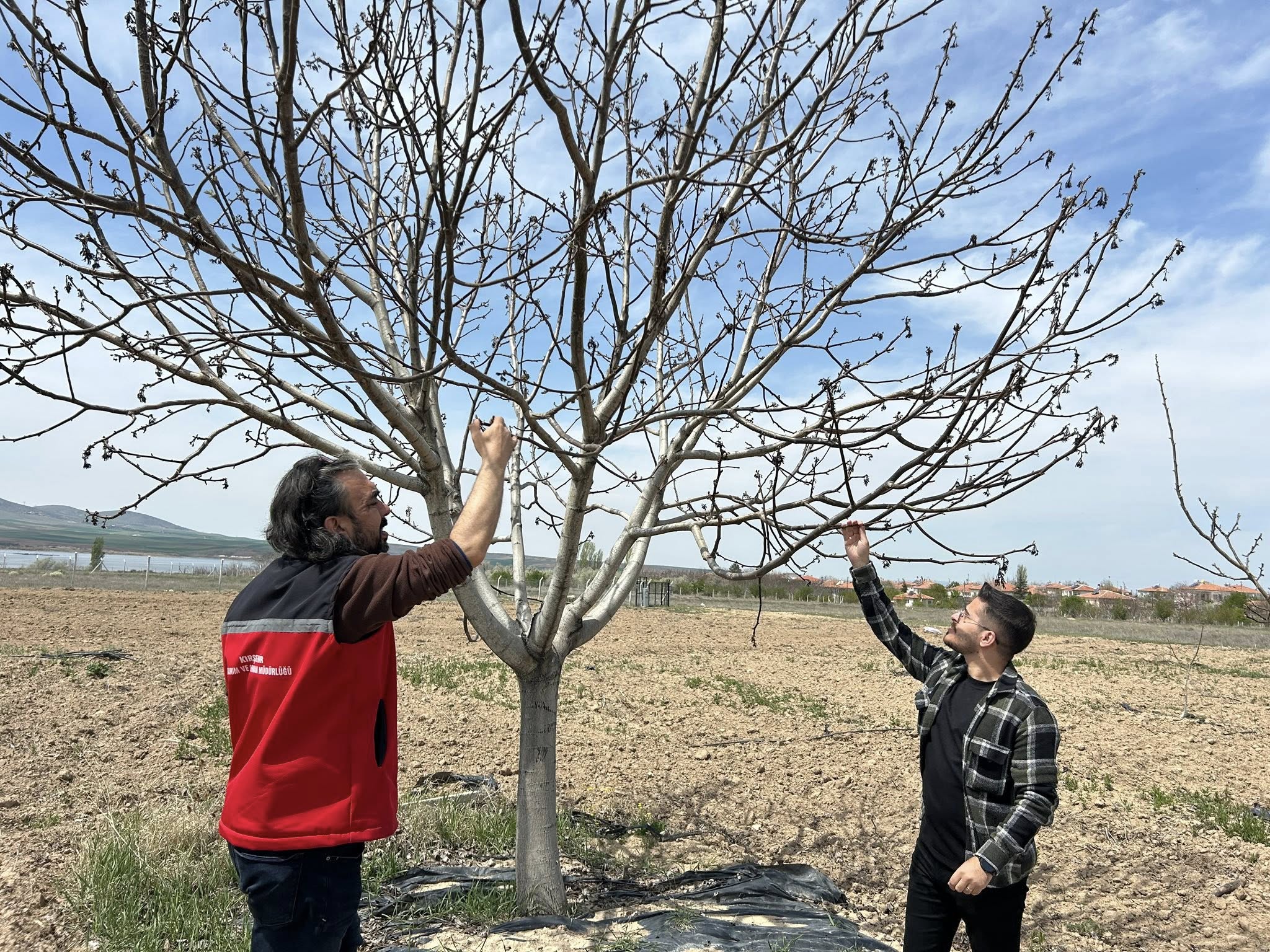 Kırşehir'de Eş Zamanlı Denetimler Devam Ediyor 2