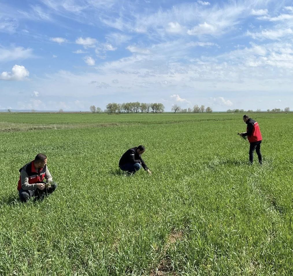 Kırşehir'de Eş Zamanlı Denetimler Devam Ediyor 4