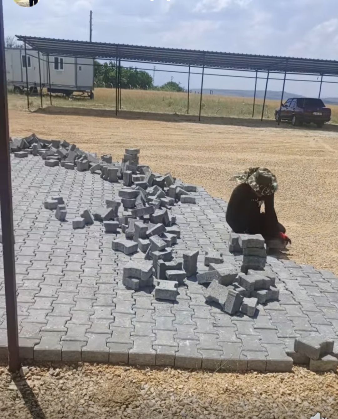 510687923 1146502134184194 1039679019035211262 N