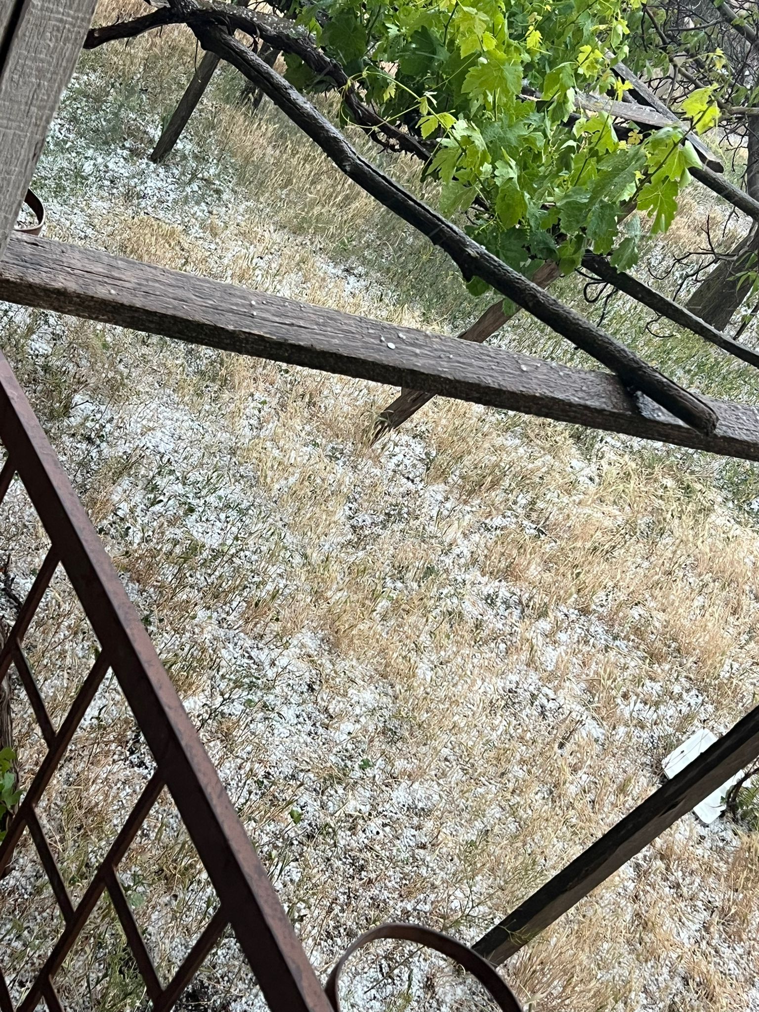 Karahıdır’da Dolu Yağışı, Sebze Ekili Alanları Etkiledi (1)