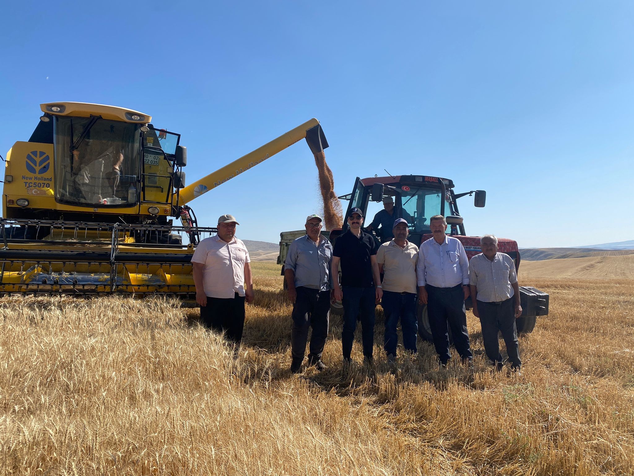 Kaymakam Buğday Hasadına Katıldı 1