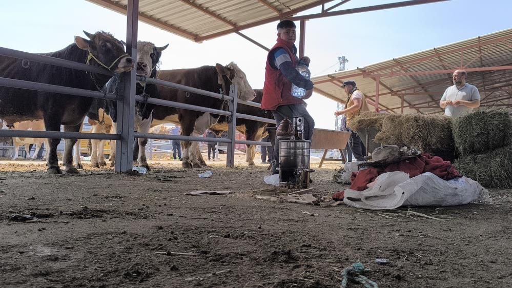 Kırşehir Hayvan Pazarında 1 Tonluk Inek 240 Bin Tl’ye Satıldı1