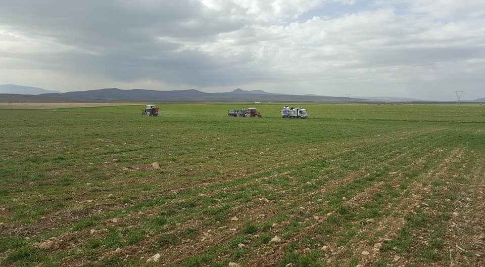 Kuraklık (1)