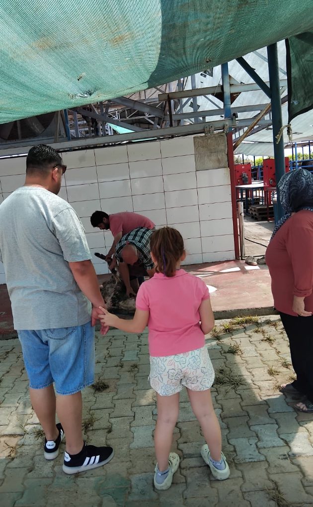 Kurban Kesimi (2)