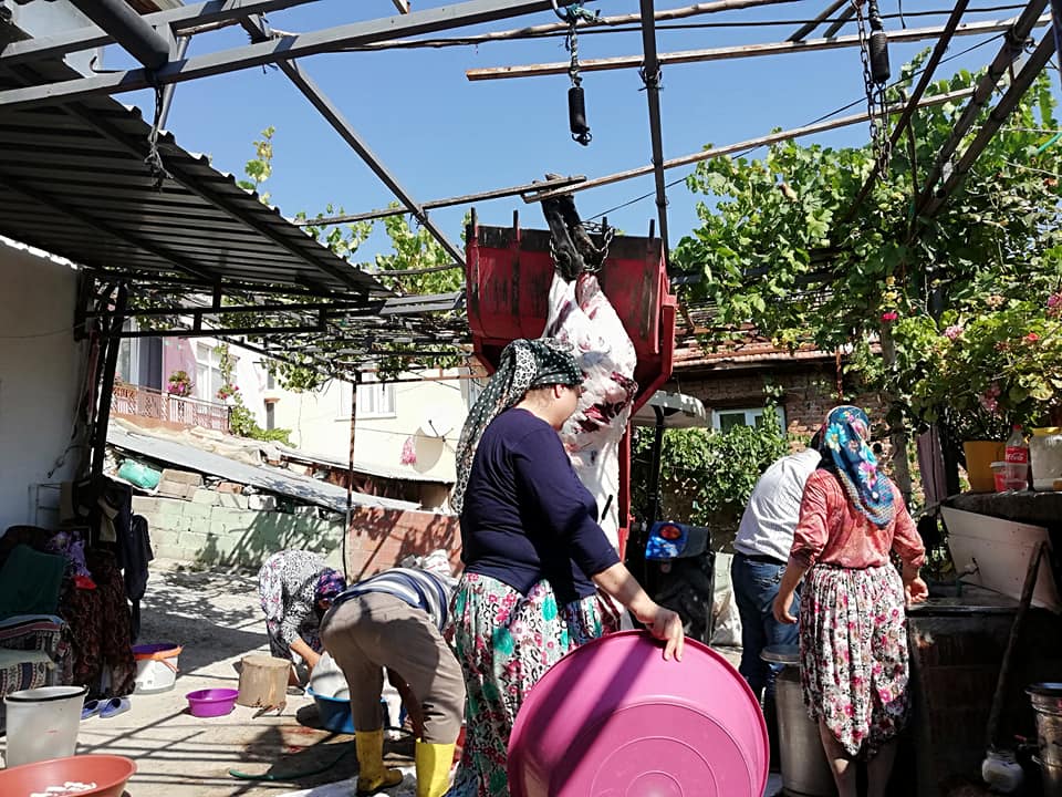 Kurban Kesimi (3)