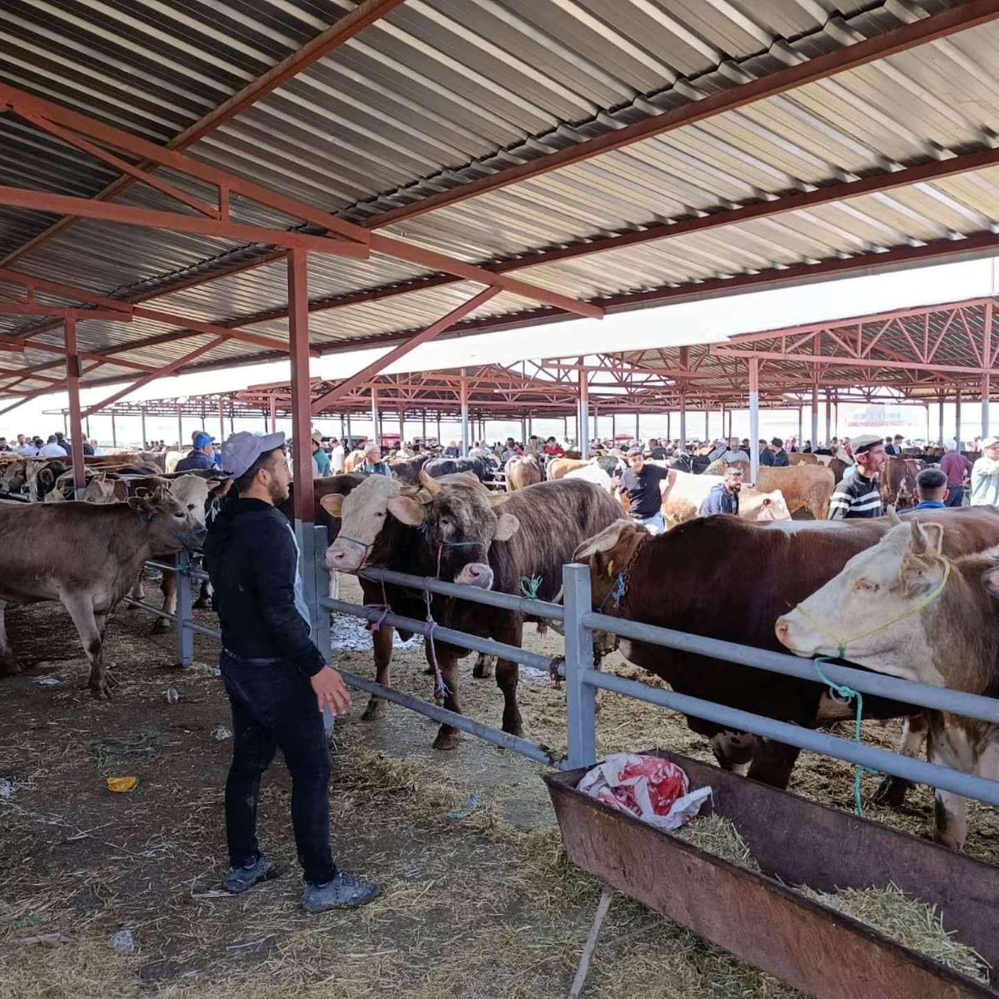 Kurbanlık 1