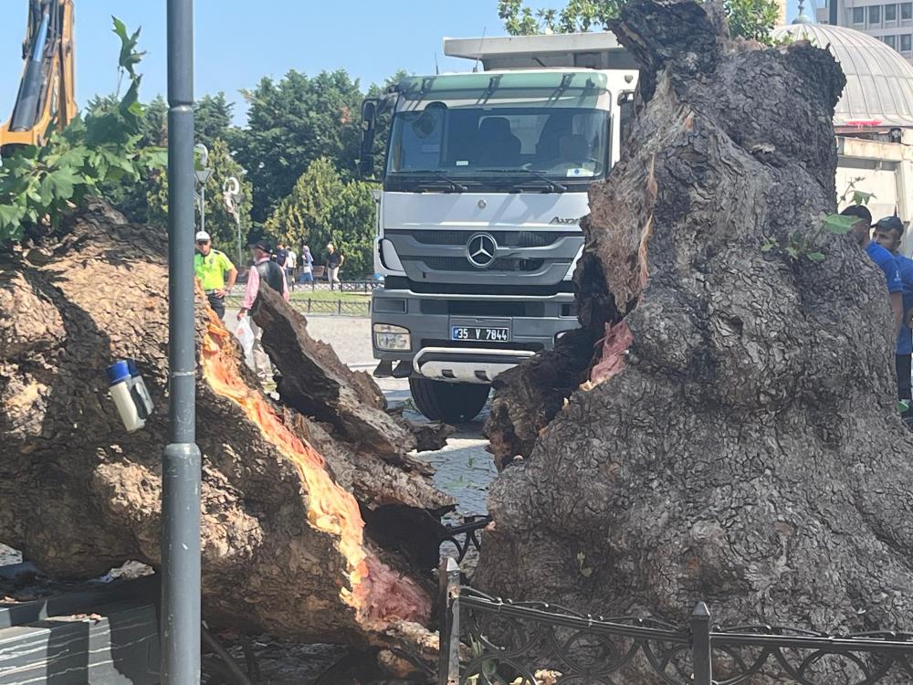 Tarihi Kemeraltı Çarşısı Girişindeki Dev Çınar Devrildi1
